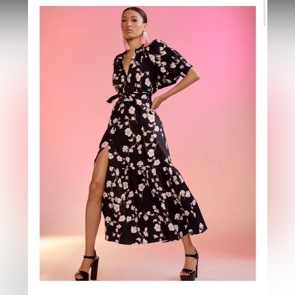 Cynthia Rowley Saratoga cotton dress